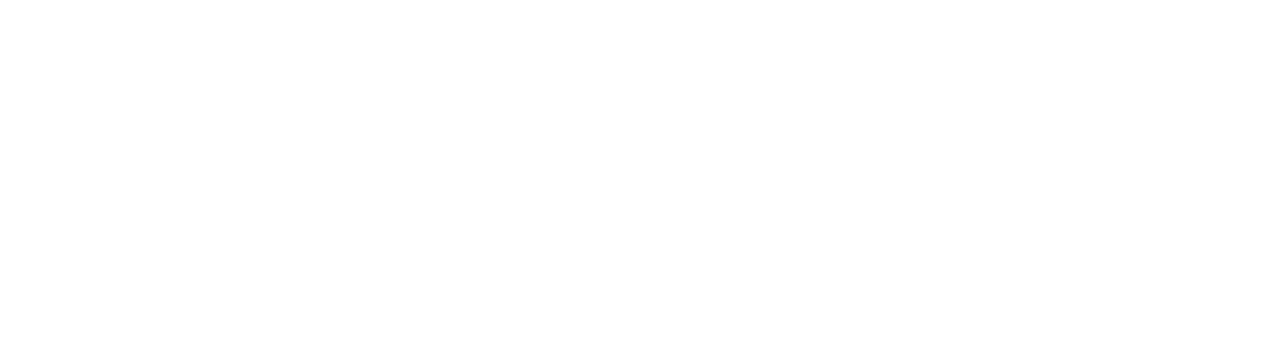 CLOUDFUSION_LOGO_WHITE